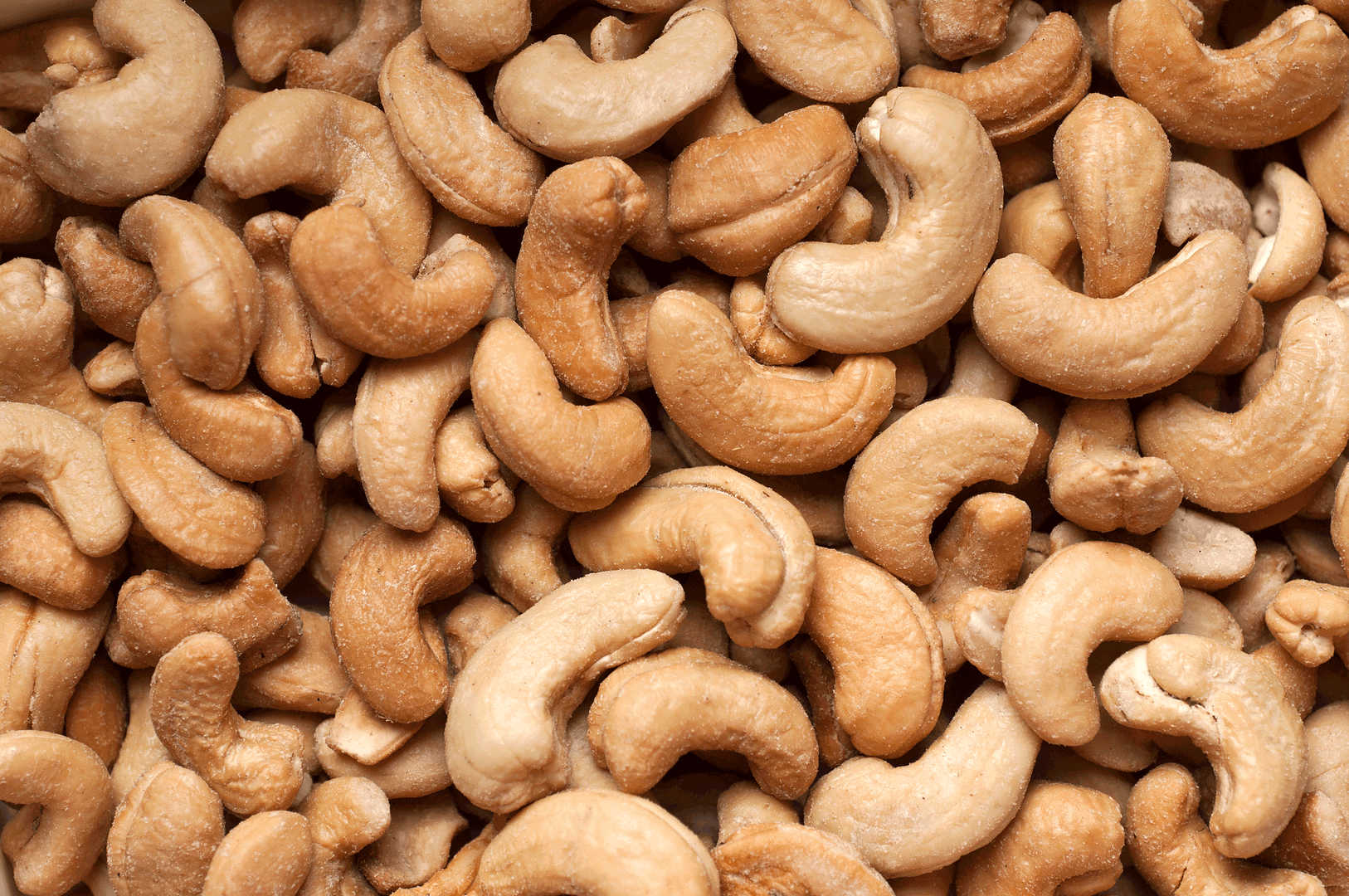 cashews in bulk